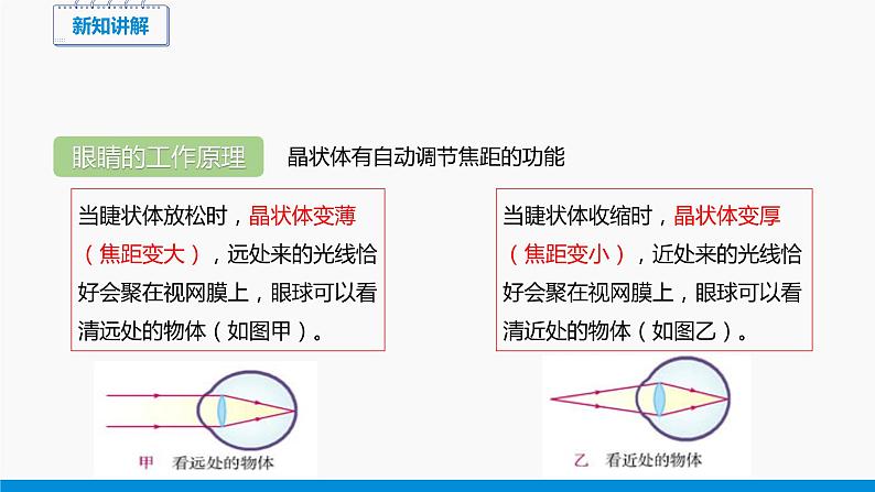 4.6 神奇的眼睛 同步课件 初中物理沪科版八年级全一册（2021年）第6页