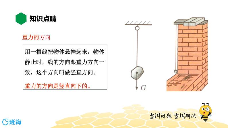 （通用）物理八年级下册-7.4重力【预习课程+知识精讲】课件PPT05