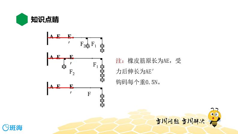 物理八年级-8.4【知识精讲】同一直线上的二力合成第5页