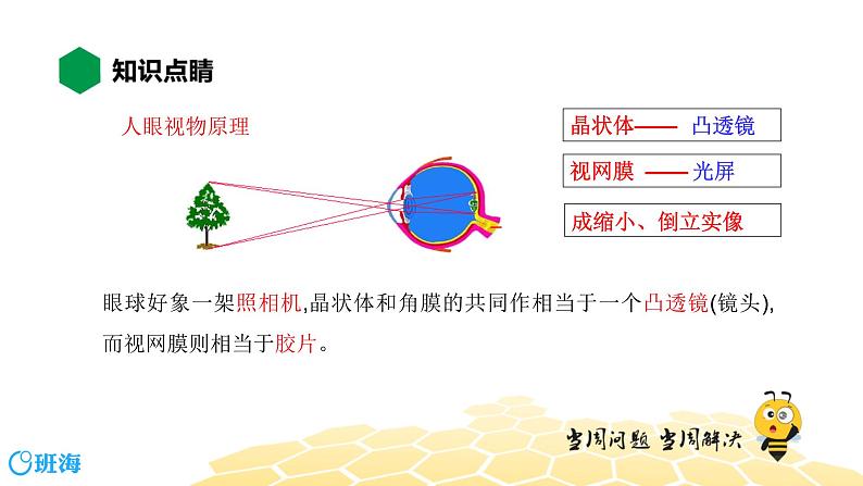 （通用）物理八年级上册-4.13眼睛和眼镜【预习课程+知识精讲】课件PPT04