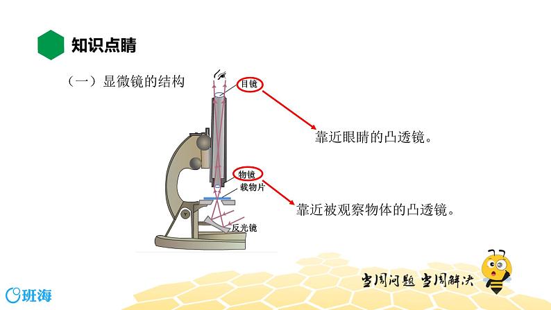 （通用）物理八年级上册-4.14显微镜和望远镜【预习课程+知识精讲】课件PPT04