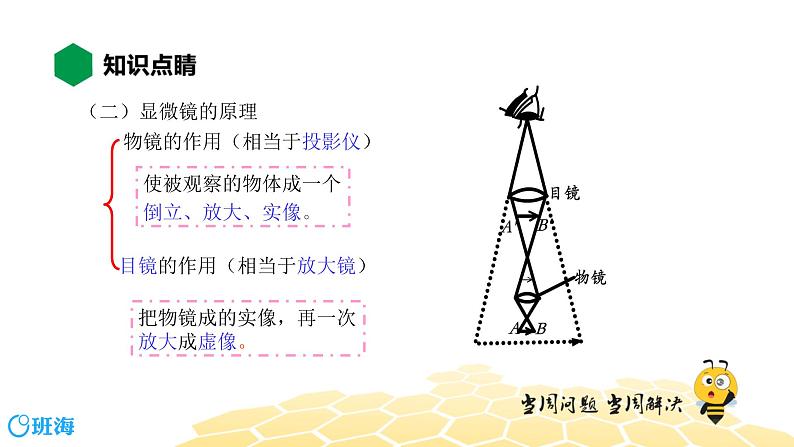 （通用）物理八年级上册-4.14显微镜和望远镜【预习课程+知识精讲】课件PPT05