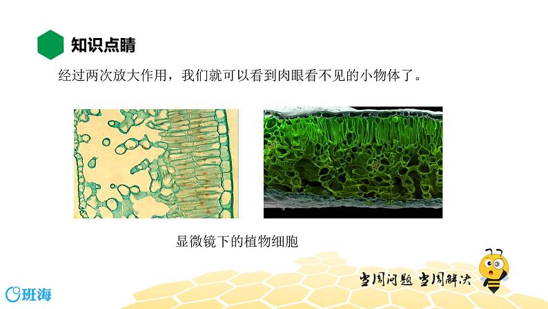 （通用）物理八年级上册-4.14显微镜和望远镜【预习课程+知识精讲】课件PPT06