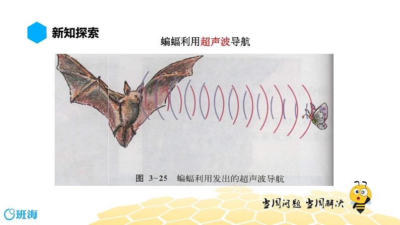 （通用）物理八年级上册-2.5超声与次声【预习课程+知识精讲】课件PPT03