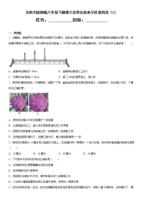 初中物理北师大版八年级下册第六章  常见的光学仪器综合与测试同步练习题