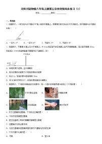 初中物理北师大版八年级上册第五章  光现象综合与测试同步训练题