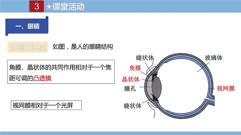 2021-2022学年初中物理教科版八年级上册 4.6  神奇的眼睛 同步教学课件第4页