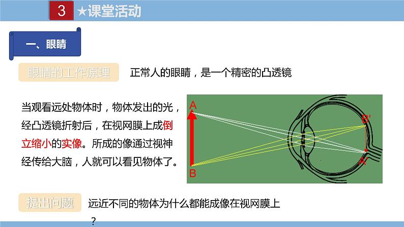 2021-2022学年初中物理教科版八年级上册 4.6  神奇的眼睛 同步教学课件第5页