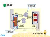 （通用）物理九年级全册-9.1现代顺风耳——电话【预习课程+知识精讲】 课件PPT