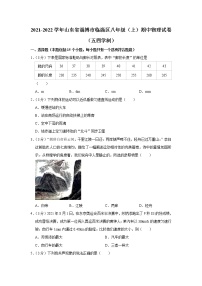 山东省淄博市临淄区2021-2022学年八年级上学期期中考试物理试题（Word版含解析）