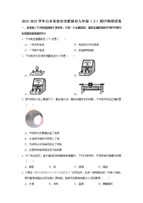 山东省泰安市肥城市2021-2022学年九年级上学期期中考试物理试题（Word版含解析）