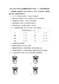 山东省聊城市莘县2021-2022学年九年级上学期期中考试物理试题（Word版含解析）