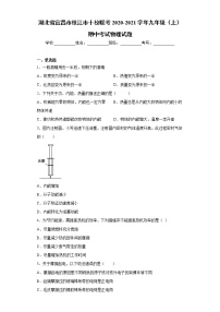 湖北省宜昌市枝江市十校联考2020-2021学年九年级（上）期中考试物理试题（word版 含答案）