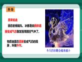 12.4升华与凝华（课件+教案+练习）