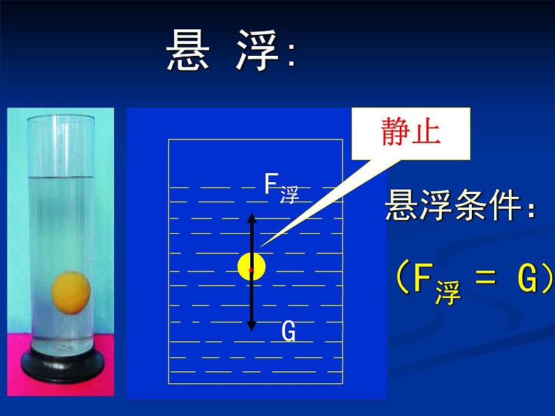 10.3物体的浮沉条件及应用  课件 2021-2022学年人教版物理  八年级下册08