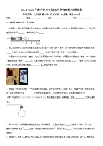 2021-2022安徽省合肥市八年级上学期物理期末模拟卷