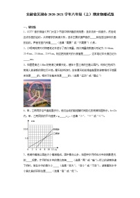 2020-2021学年安徽省芜湖市八年级上学期期末物理试题（含答案与解析）