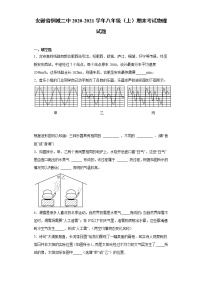 2020-2021学年安徽省安庆市桐城二中八年级上学期期末考试物理试题（含答案与解析）