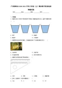 2020-2021学年广西柳州市八年级上学期期末教学质量检测物理试题（含答案与解析）