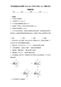 2020-2021学年河北省唐山市丰南区八年级上学期期末考试物理试题（含答案与解析）