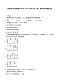 2020-2021学年甘肃省庆阳市镇原县九年级上学期期末考试物理试题（含答案与解析）