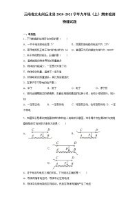 2020-2021学年云南省文山州丘北县九年级上学期期末检测物理试题（含答案与解析）