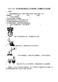 2020-2021学年陕西省渭南市九年级物理上学期期末考试试题（含答案与解析）