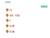 教科版八年級(jí)下冊(cè)物理 第10章 10.2 認(rèn)識(shí)浮力 習(xí)題課件