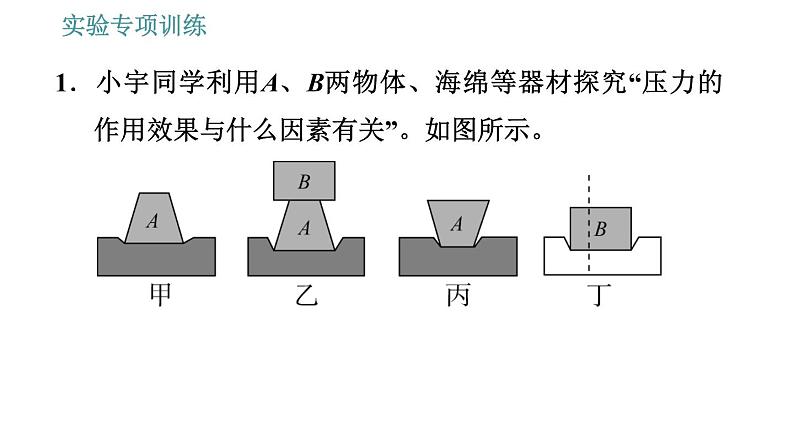 教科版八年级下册物理 期末提分练案 2.3 实验专项训练 探究压强的影响因素 习题课件第3页