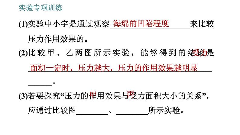 教科版八年级下册物理 期末提分练案 2.3 实验专项训练 探究压强的影响因素 习题课件第4页