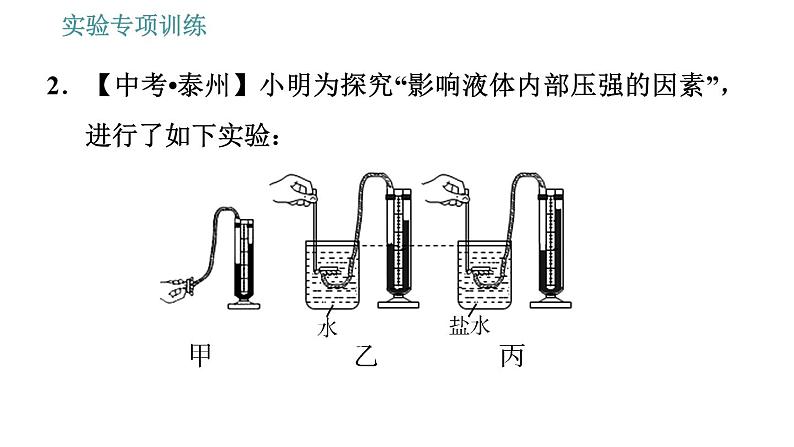 教科版八年级下册物理 期末提分练案 2.3 实验专项训练 探究压强的影响因素 习题课件第7页