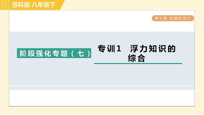 苏科版八年级下册物理 第10章 阶段强化专题（七）专训1  浮力知识的综合 习题课件01