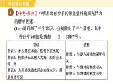 苏科版八年级下册物理 第10章 阶段强化专题（七）专训2  相关浮力的实验探究 习题课件