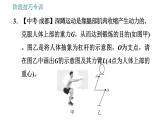 教科版八年级下册物理 第11章 阶段技巧专训 杠杆和滑轮作图 习题课件