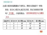 教科版八年级下册物理 第11章 阶段实验专训 与机械相关的探究与测量 习题课件