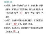 滬粵版八年級下冊物理 第9章 專訓（七）  訓練2   利用浮力測密度 習題課件