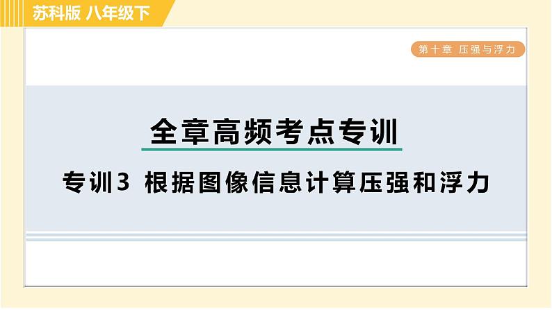 苏科版八年级下册物理 第10章 全章高频考点专训 专训3 根据图像信息计算压强和浮力 习题课件01