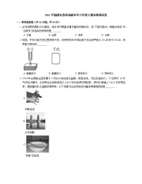 2021年福建永春县汤城中学八年级上期末物理试卷