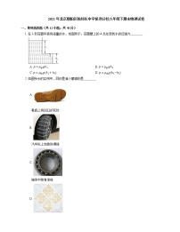 2021年北京朝阳区陈经纶中学保利分校八年级下期末物理试卷