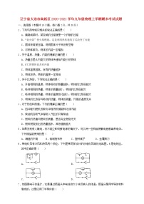 辽宁省大连市高新区2020-2021学年九年级上学期物理期末考试试题（含答案）