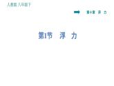 人教版八年级下册物理 第10章 10.1  浮  力 习题课件