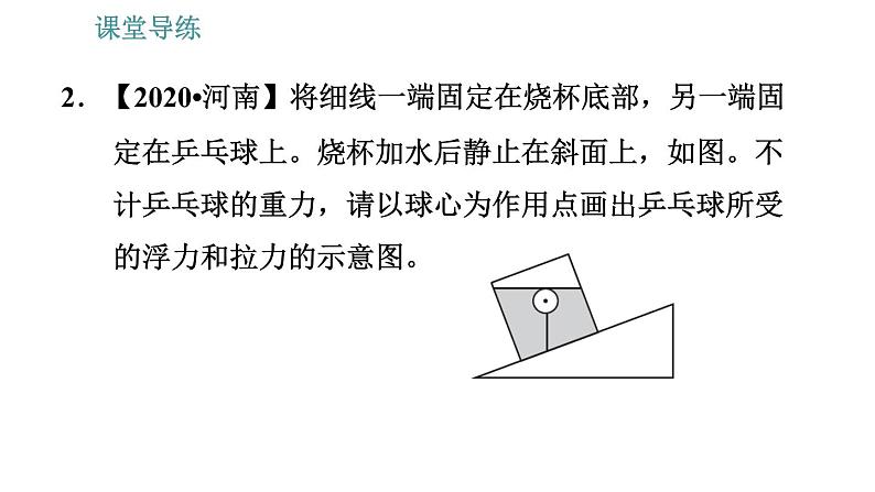 人教版八年级下册物理 第10章 10.1  浮  力 习题课件第5页