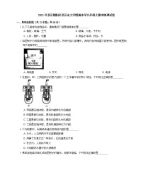 2021年北京朝阳区北京市大学附属中学九年级上期中物理试卷