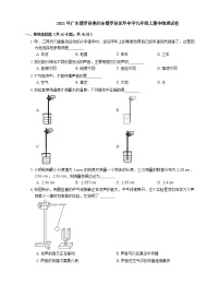 2021年广东博罗县惠州市博罗县龙华中学九年级上期中物理试卷