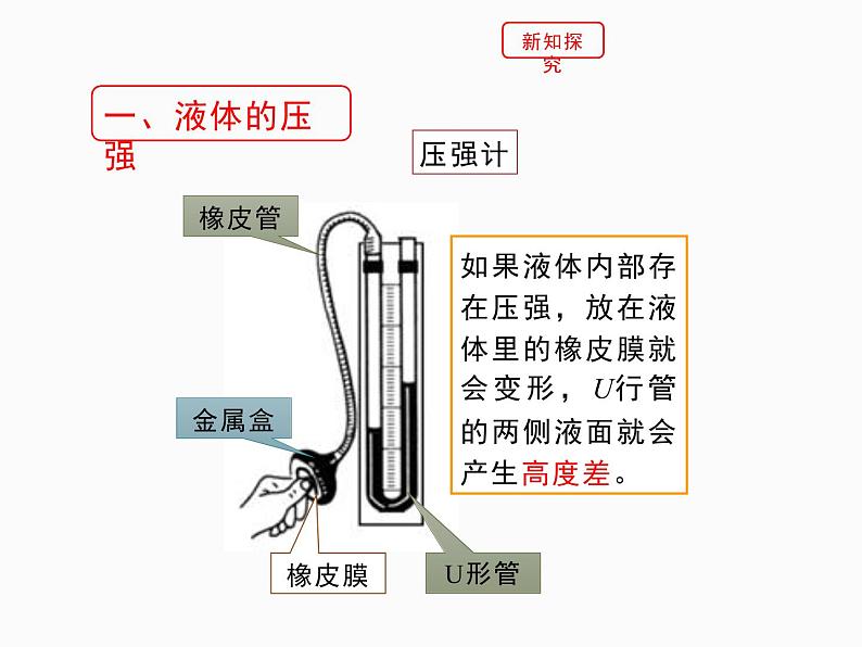 8.2液体内部的压强课件北师大版八年级物理08