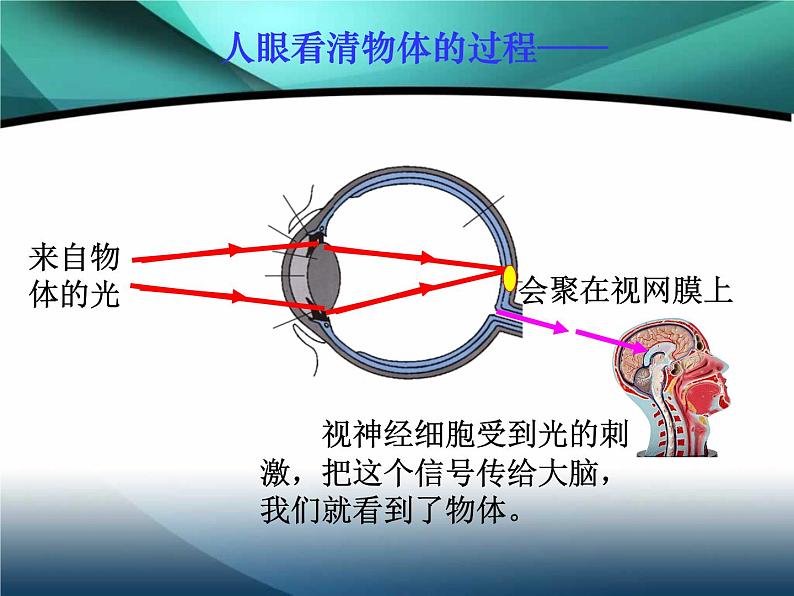 6.4眼睛和眼镜实用课件(共33张PPT北师大版八年级物理)06