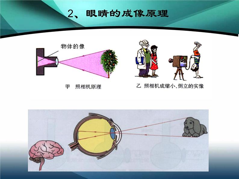 6.4眼睛和眼镜实用课件(共33张PPT北师大版八年级物理)08