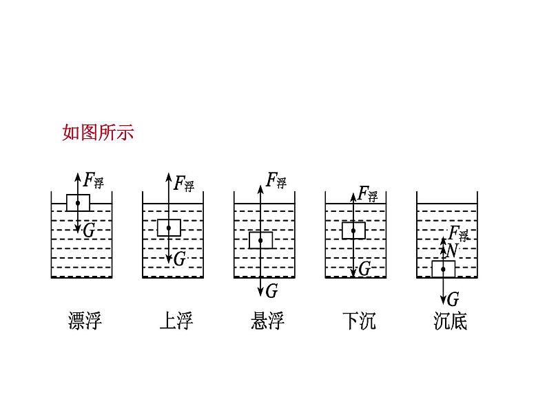 8.6物体的浮沉条件课件北师大版八年级物理第6页