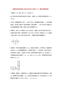 安徽省阜阳市颍上县行知中学2018-2019学年八年级物理下学期期中试卷（含答案与解析）