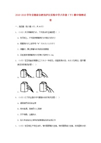 安徽省合肥市庐江实验中学2018-2019学年八年级物理下学期期中试卷（含答案与解析）